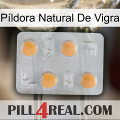 Píldora Natural De Vigra 24